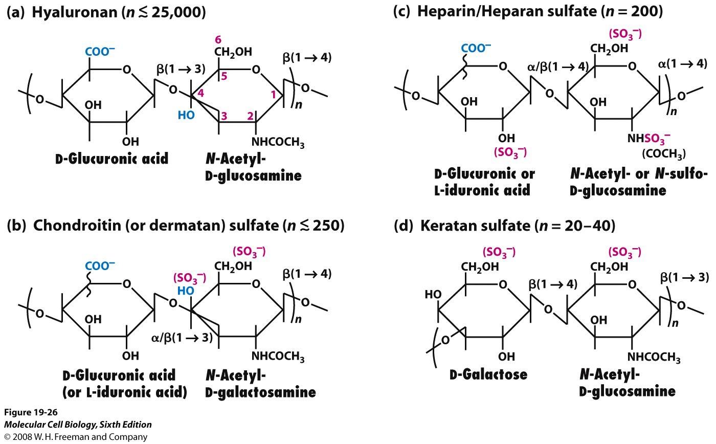 Harness ​the Hydration of <a href=
