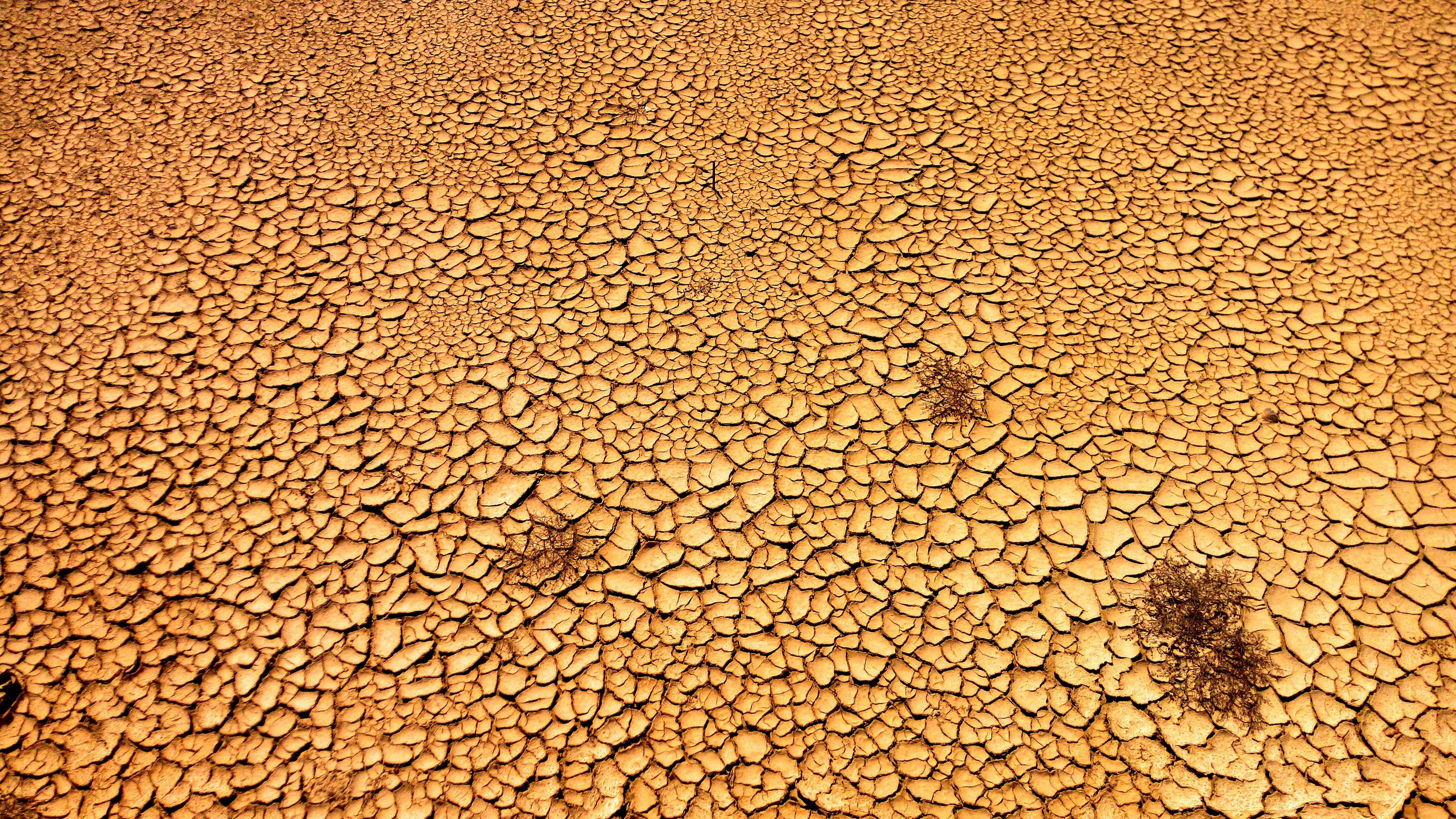 Understanding the Causes of Dry and Flaky Scalp