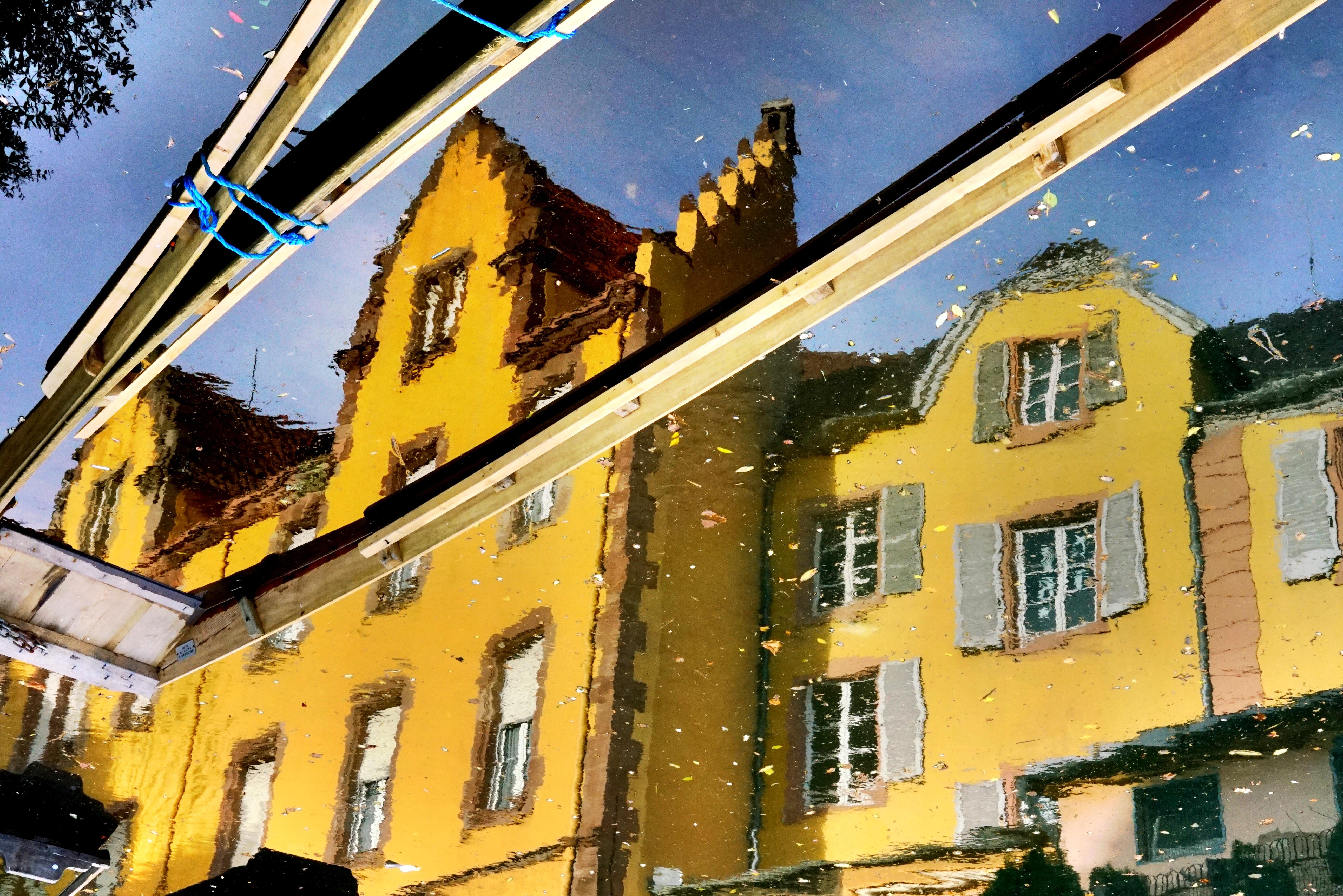 Choosing Wisely: Sustainable Alternatives for Conscious Consumers