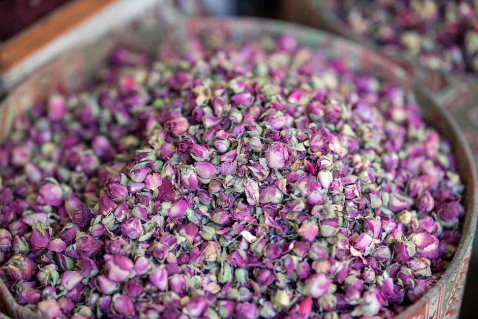 Striking a ‌Balance⁣ Strategies for Discernment​ in a Saturated‍ Beauty Market