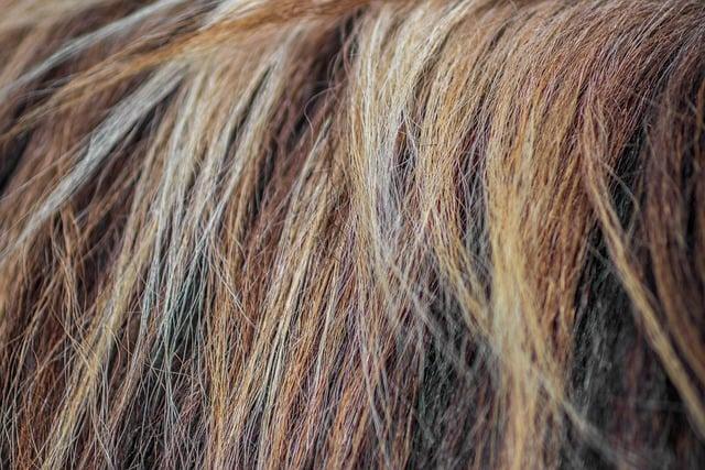 How Biotin Interacts ‍with ‌Hair Follicles