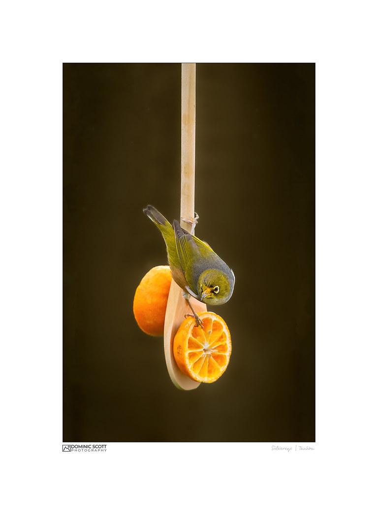 Boosting Immunity‍ Naturally with‌ Vitamin C