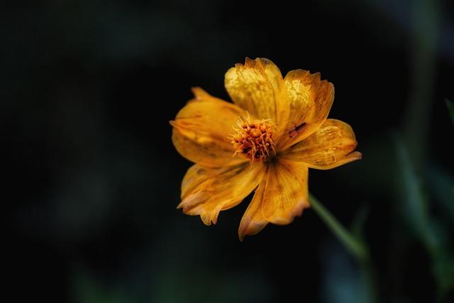 Innovative Solutions to Beautys Packaging Problem