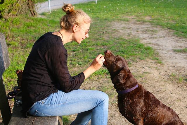Balancing Beauty‍ and Budget Strategies for Mindful Participation in Rewards Programs
