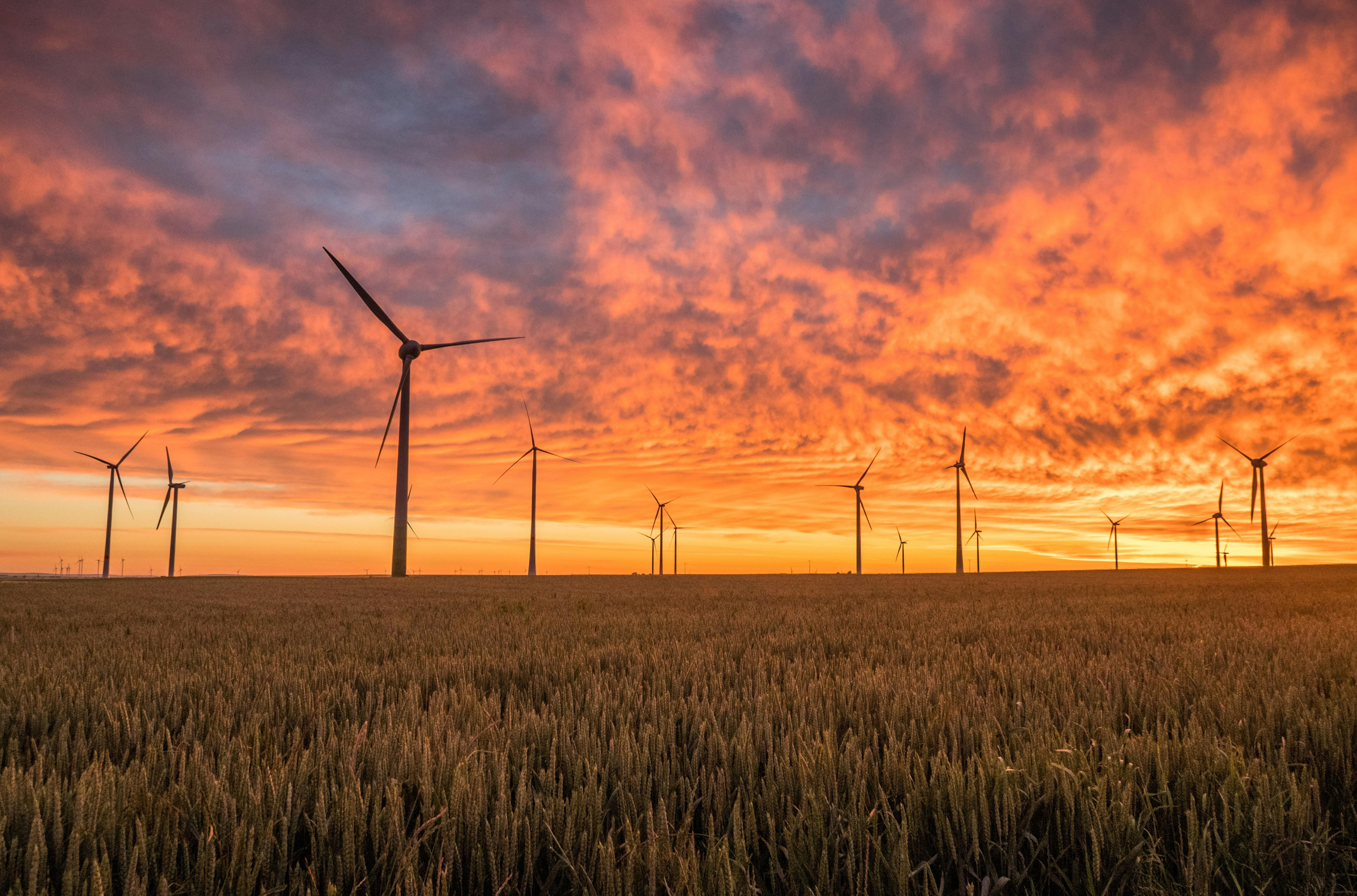 Consumer Power: How Choices Drive Sustainable Packaging Trends