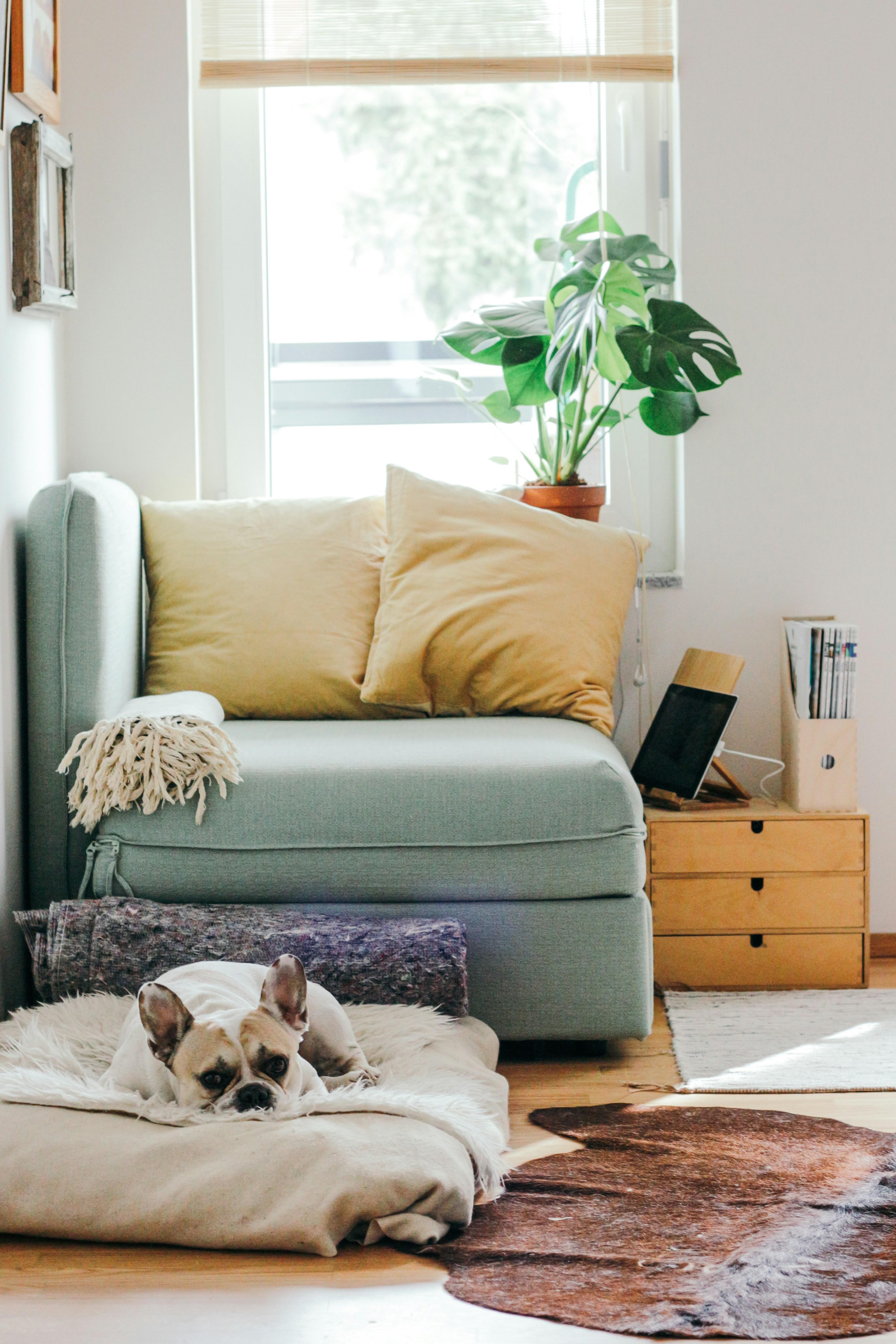 Best practices for trimming hair at home safely