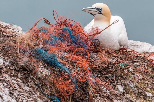 Should Plastic-Free Beauty Be More Accessible